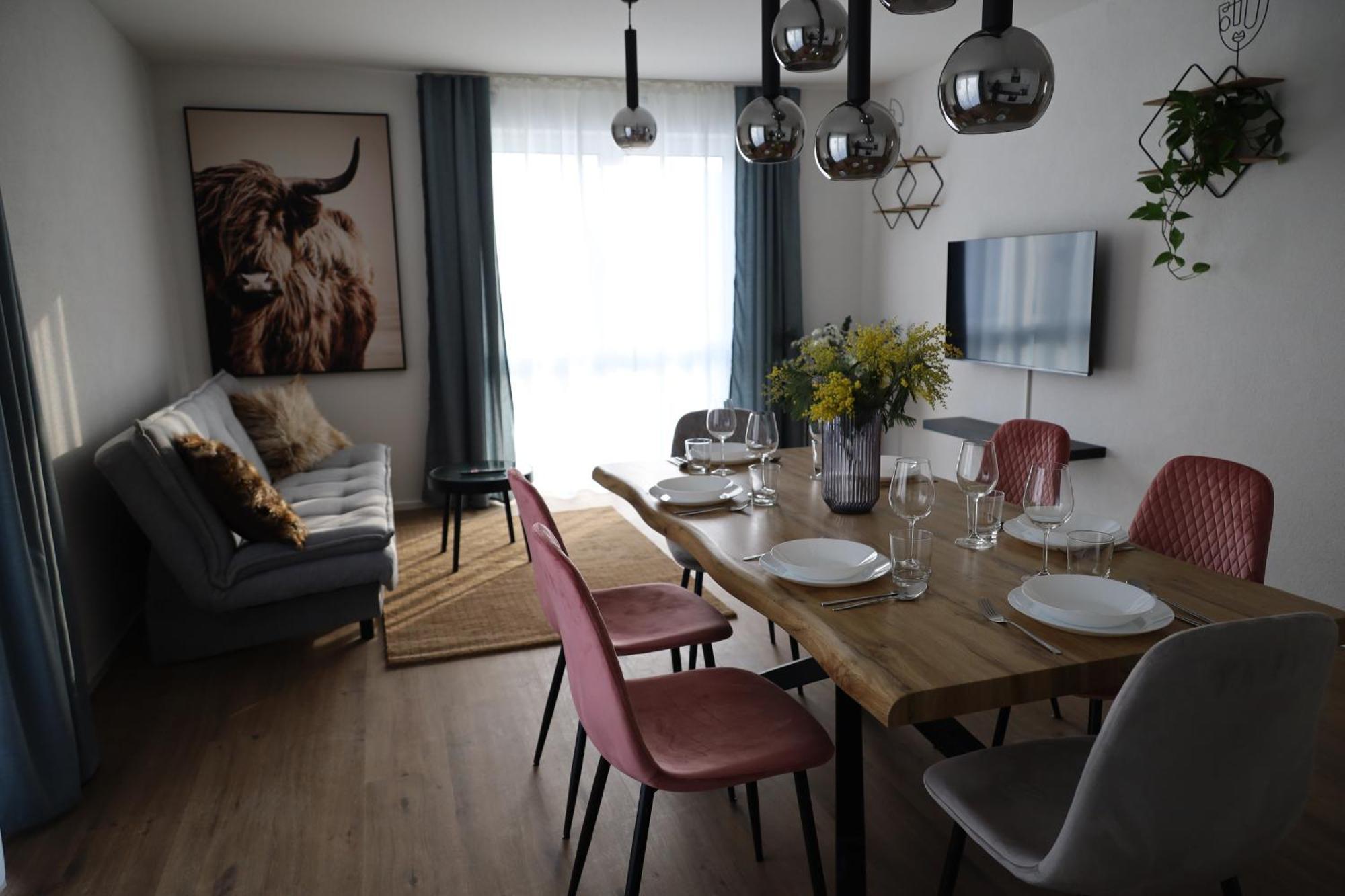 Schluessel Apartments Lahr/Schwarzwald Extérieur photo